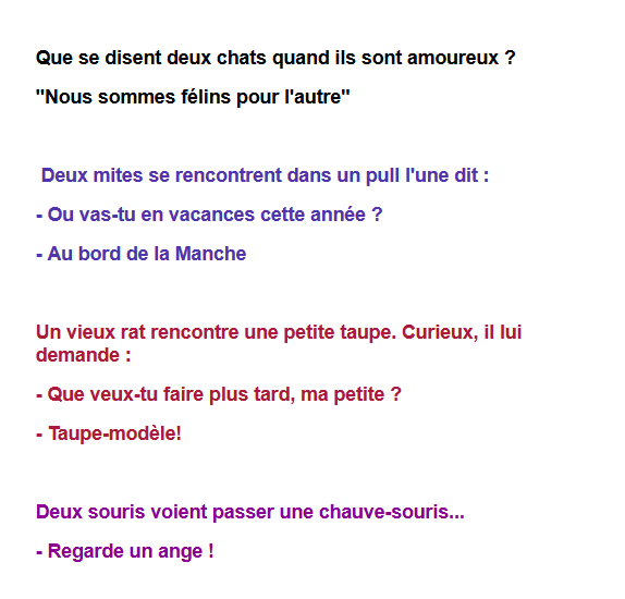faire rencontrer deux chats