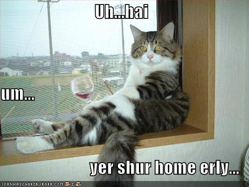 funny-pictures-cat-drinking-wine.jpg