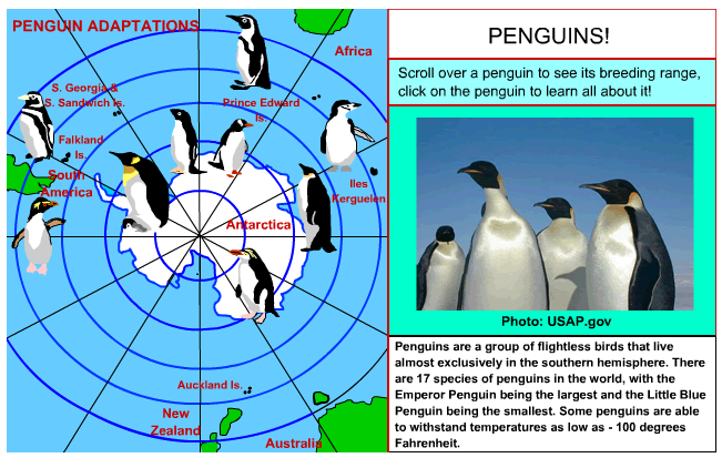 Tech Coach: Penguins