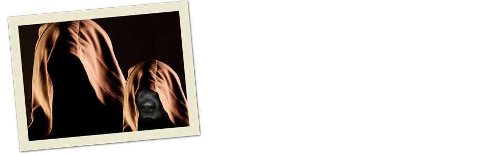 Blog do Irmão Tadeu