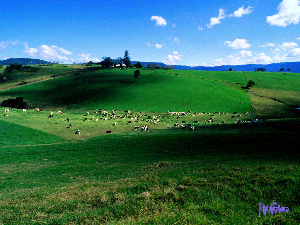 http://3.bp.blogspot.com/-TbrvailWWxM/ULm0pf6JVII/AAAAAAAAAFE/8v2lS4hIqUk/s1600/beautifulwallpapers.gif