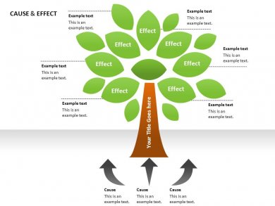 Examples Of A Proposal Essay Essay For High School Application Examples also Environmental Health Essay Consequence Natural Disasters Essay Health Insurance Essay