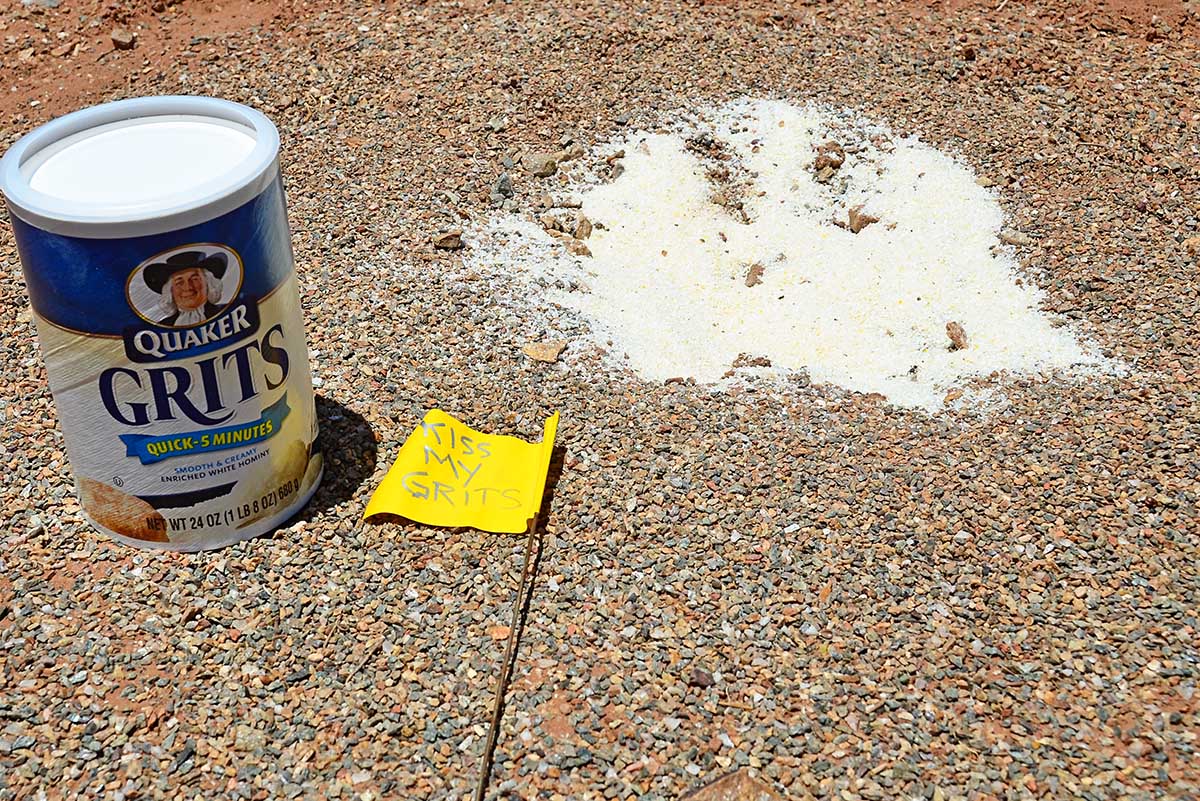 The 7MSN Ranch Evidencebased ant eradication