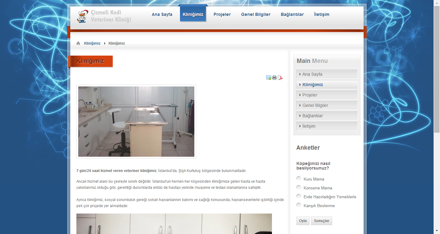 Cizmeli Kedi Veteriner Klinigi Cizmeli Kedi Veteriner Klinigi