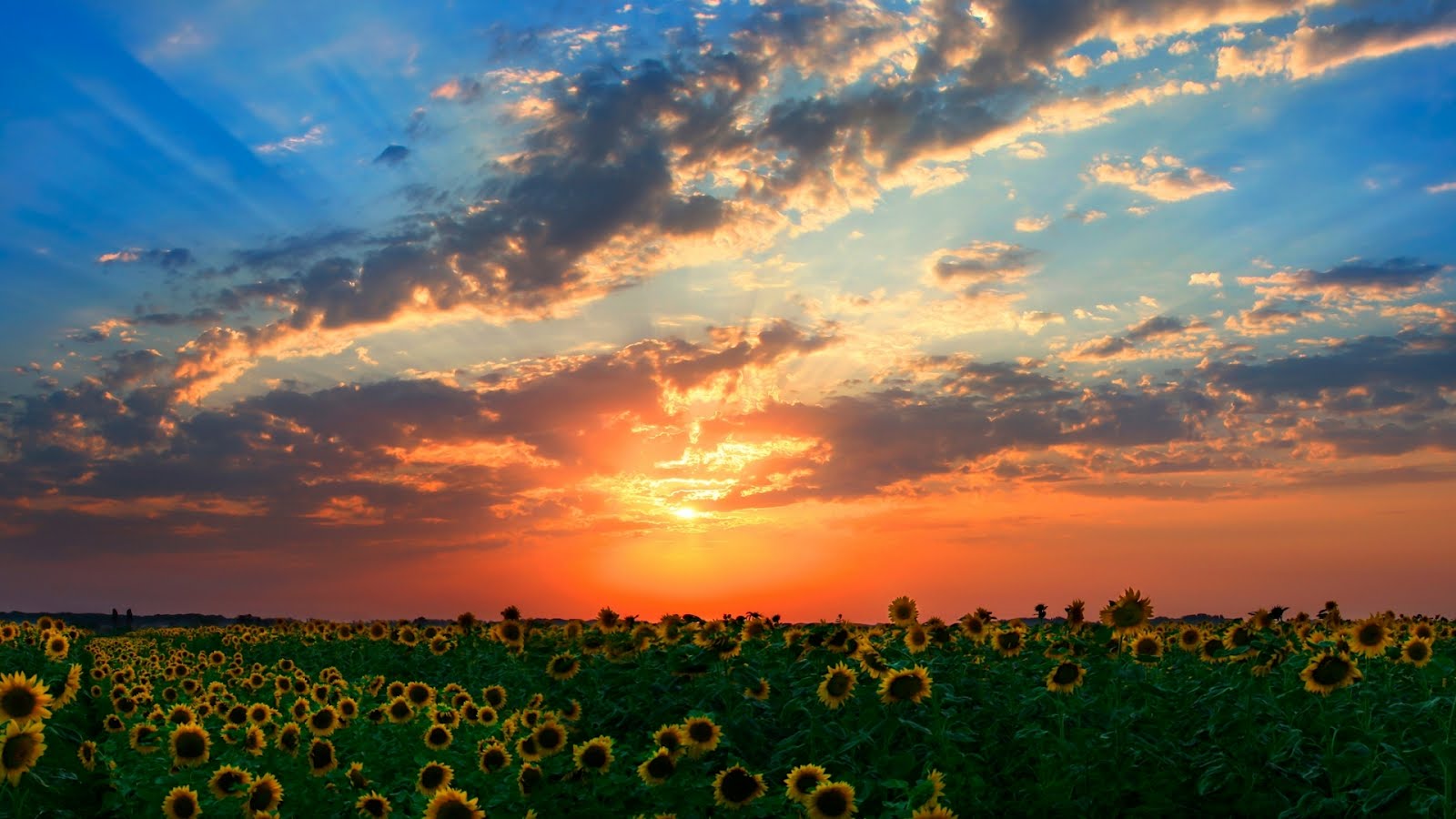 http://3.bp.blogspot.com/-TcZRShyy_Pk/T3YxbZ2JqNI/AAAAAAAACG0/pghAFcuQ72Y/d/wallpapers-atardeceres_sm4cblog12.jpg