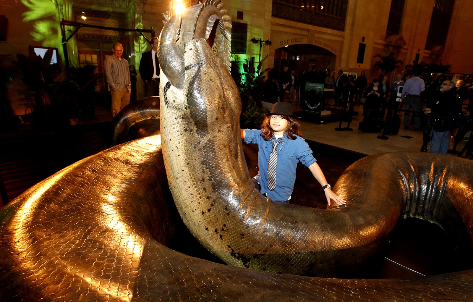 Largest World Biggest Snake Largest World Biggest Snake