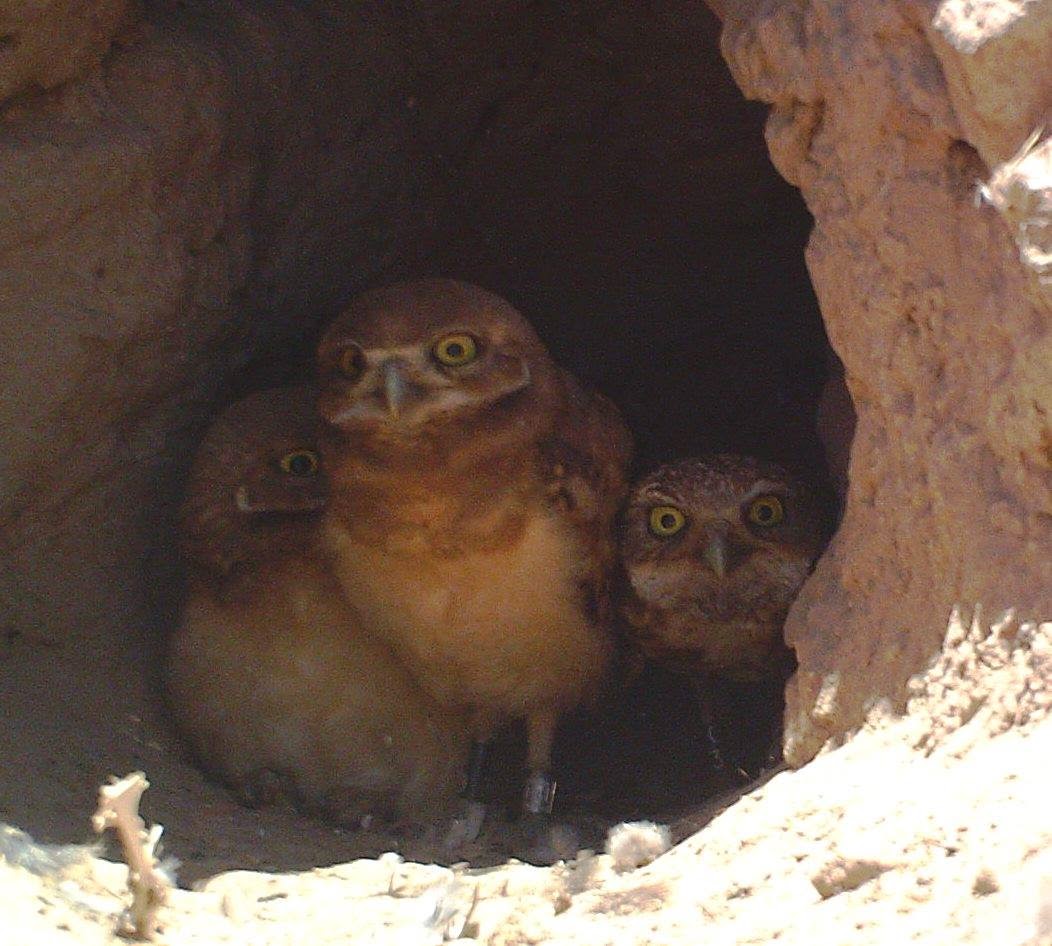 Texas Mountain Trail Daily Photo September 2014