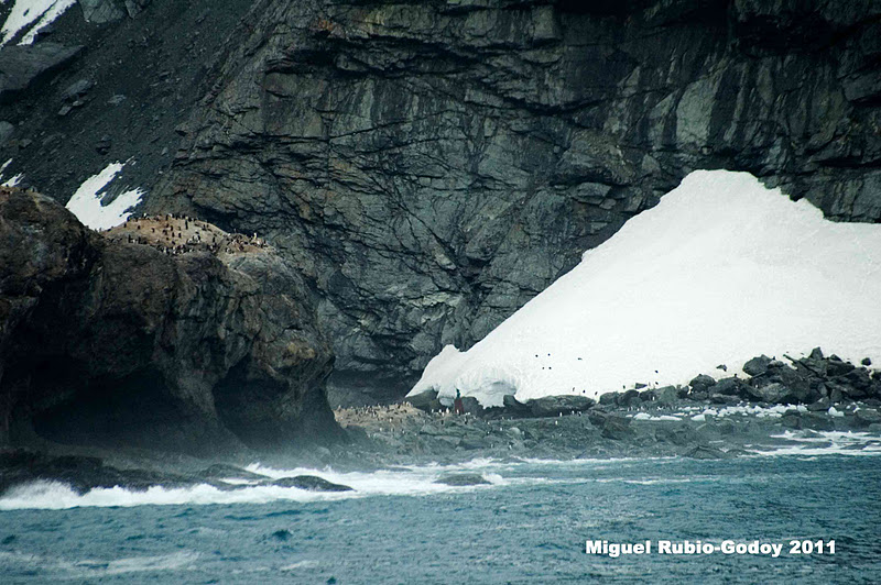 MV FRAM EXPEDITION BLOG Elephant Island