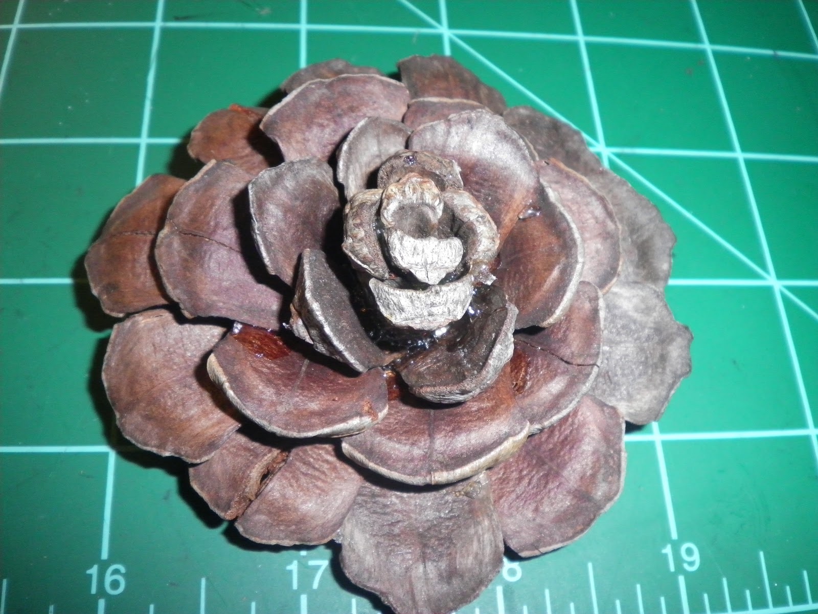 Leighs Creations Pine Cone Roses Tutorial
