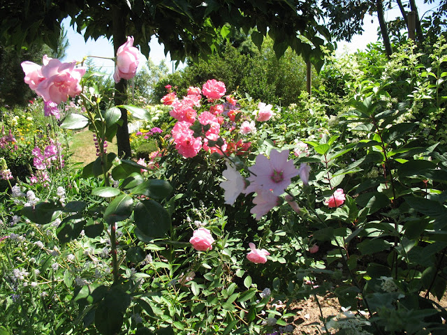 Roses Du Jardin Cheneland Vanille Fraise Ou Marron Glace