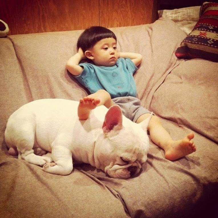 출처:해적 haezuk.com 불독과 교감하는 소년