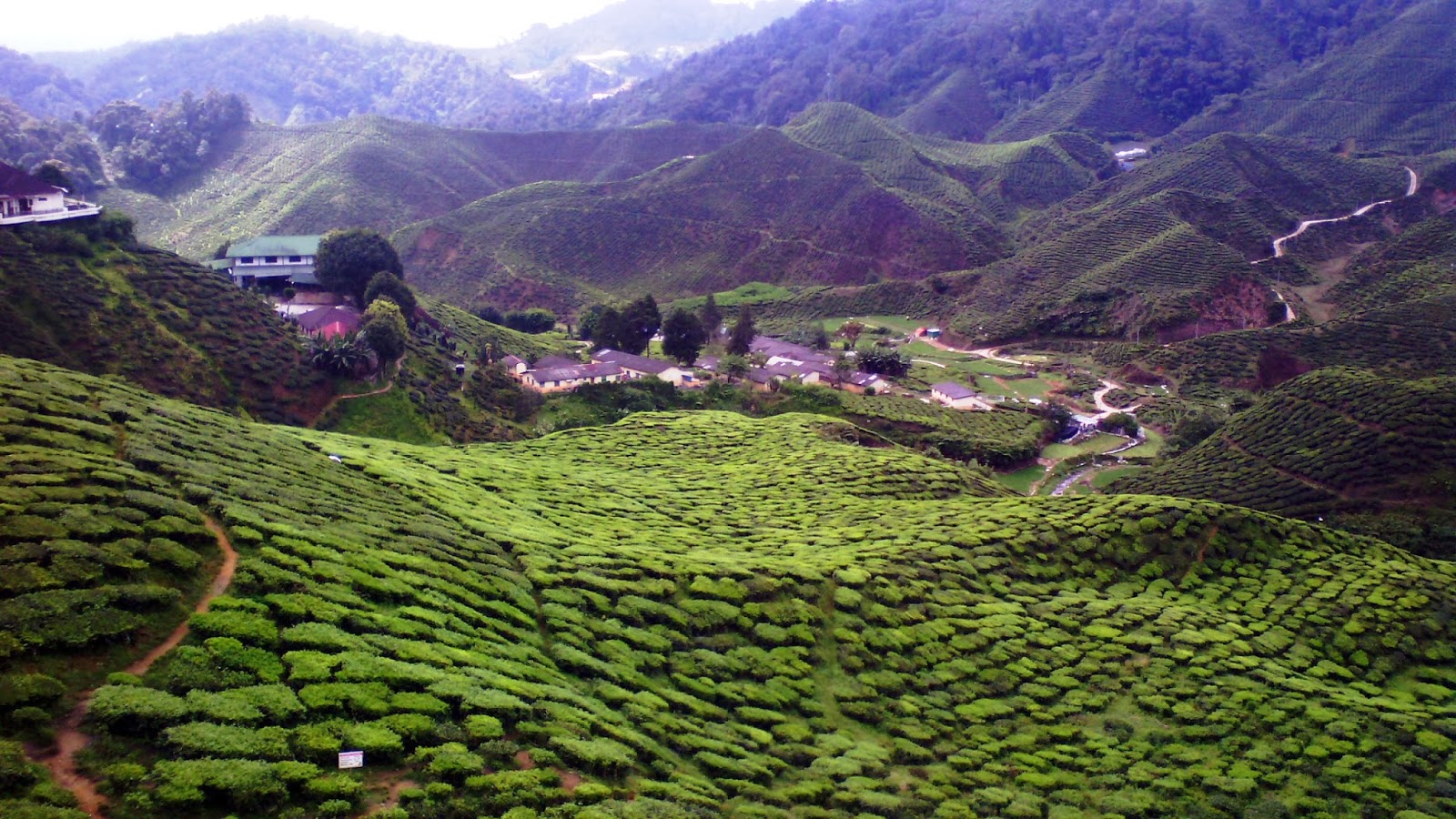 Best Hotel In Cameron Highland Blog Best Hotel In Cameron Highland Blog