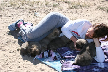 pups cuddling with a friend