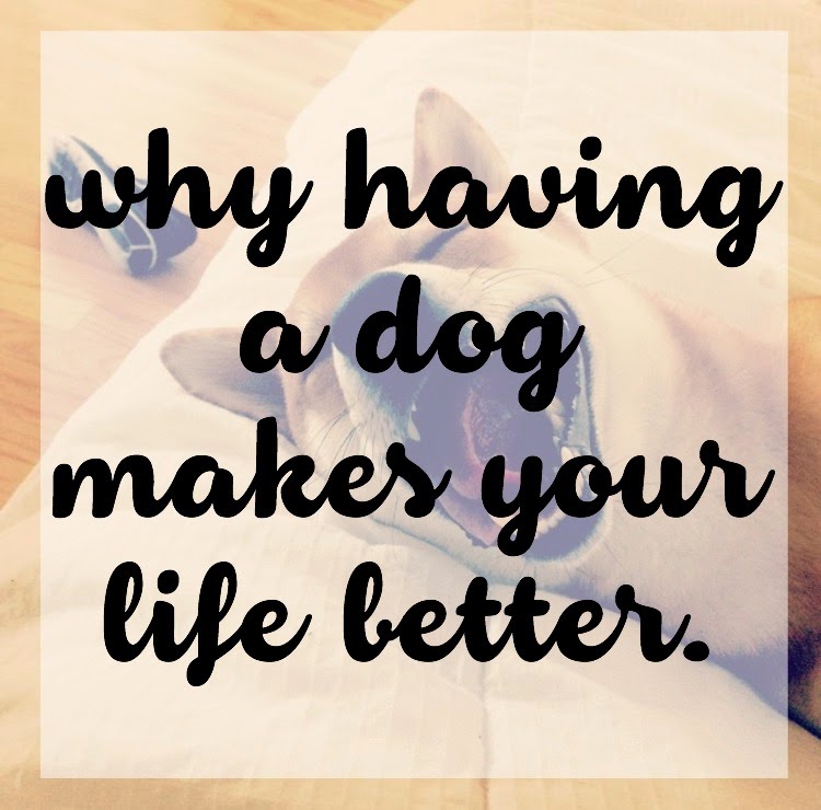 Will Having a Dog Make Your Life Better? The girl who loved to write