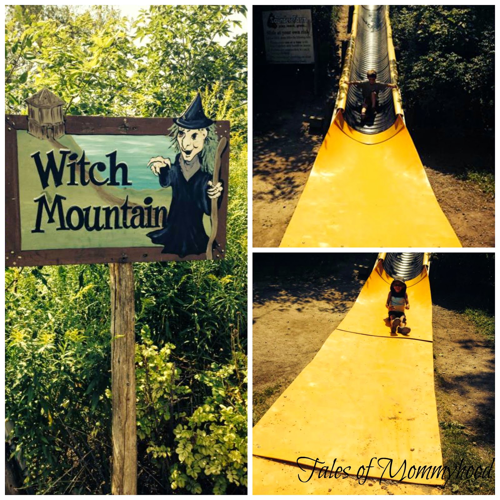 Tales of Mommyhood Saunders Farm A Full Day of Fun