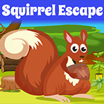 Games4King Squirrel Escap…