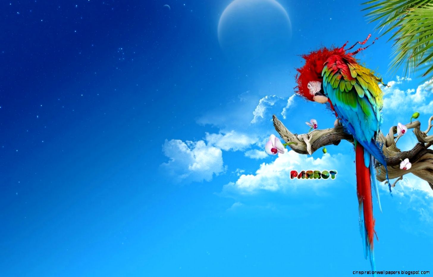 Spongebob Live Wallpaper Android Download Khusus Android 2015 Spongebob Live Wallpaper Android Download Khusus Android 2015