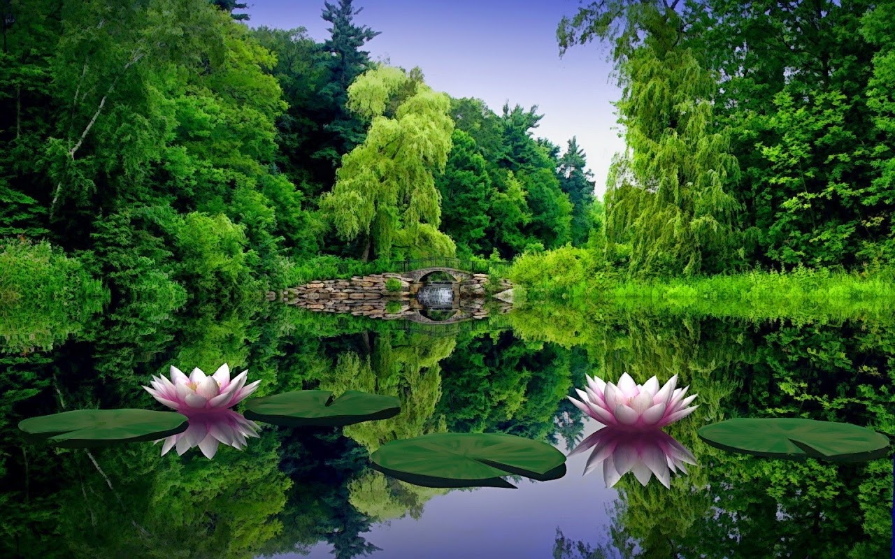 100% Desktop Quality HD Wallpapers 1080p Free Download: Top 28 Nature