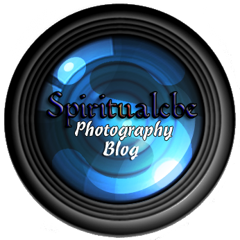 My Other Blog