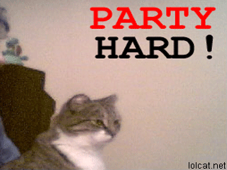 http://3.bp.blogspot.com/-TgP56qWVDZg/Tcv25DELJMI/AAAAAAAAABc/3VPJbgpyDw4/s1600/party_hard_cat2.gif