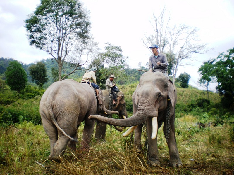 rencontre homme laos