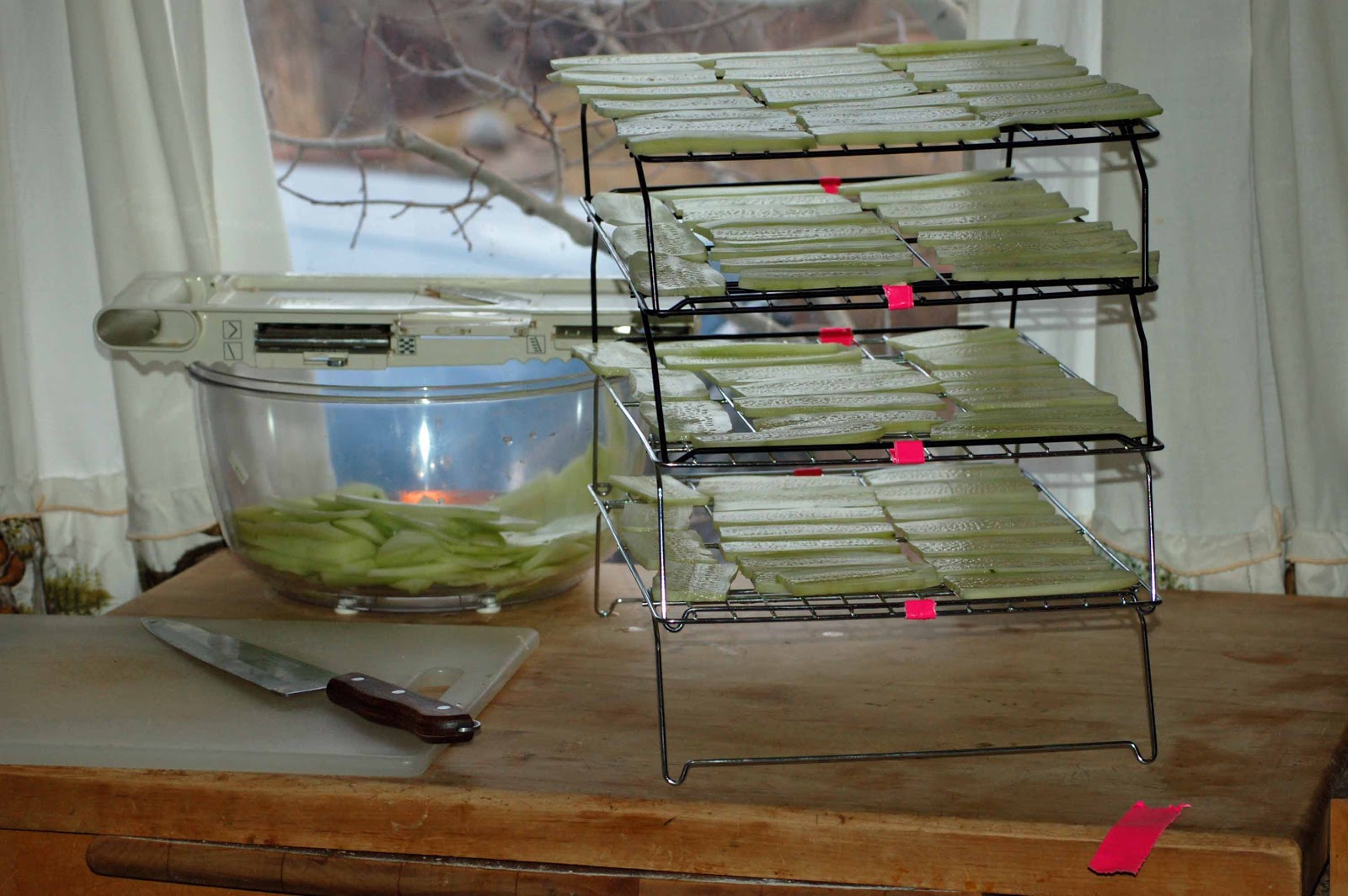 Dehydrating Way Beyond Jerky A Makeshift Dehydrator