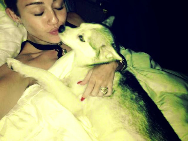 Miley cyrus new dog happy