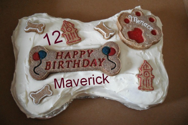 Maverick+Cake.jpg