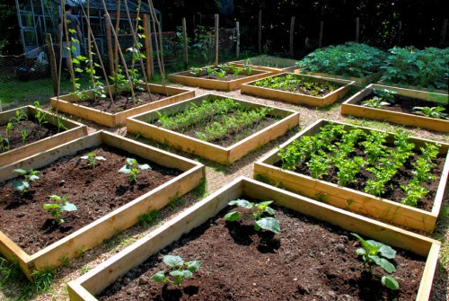 Design Squeezed Daily : The A-Z Guide of Garden Essentials - PART FOUR