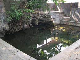 Hal Gaiba Pesugihan Bulus Jimblung