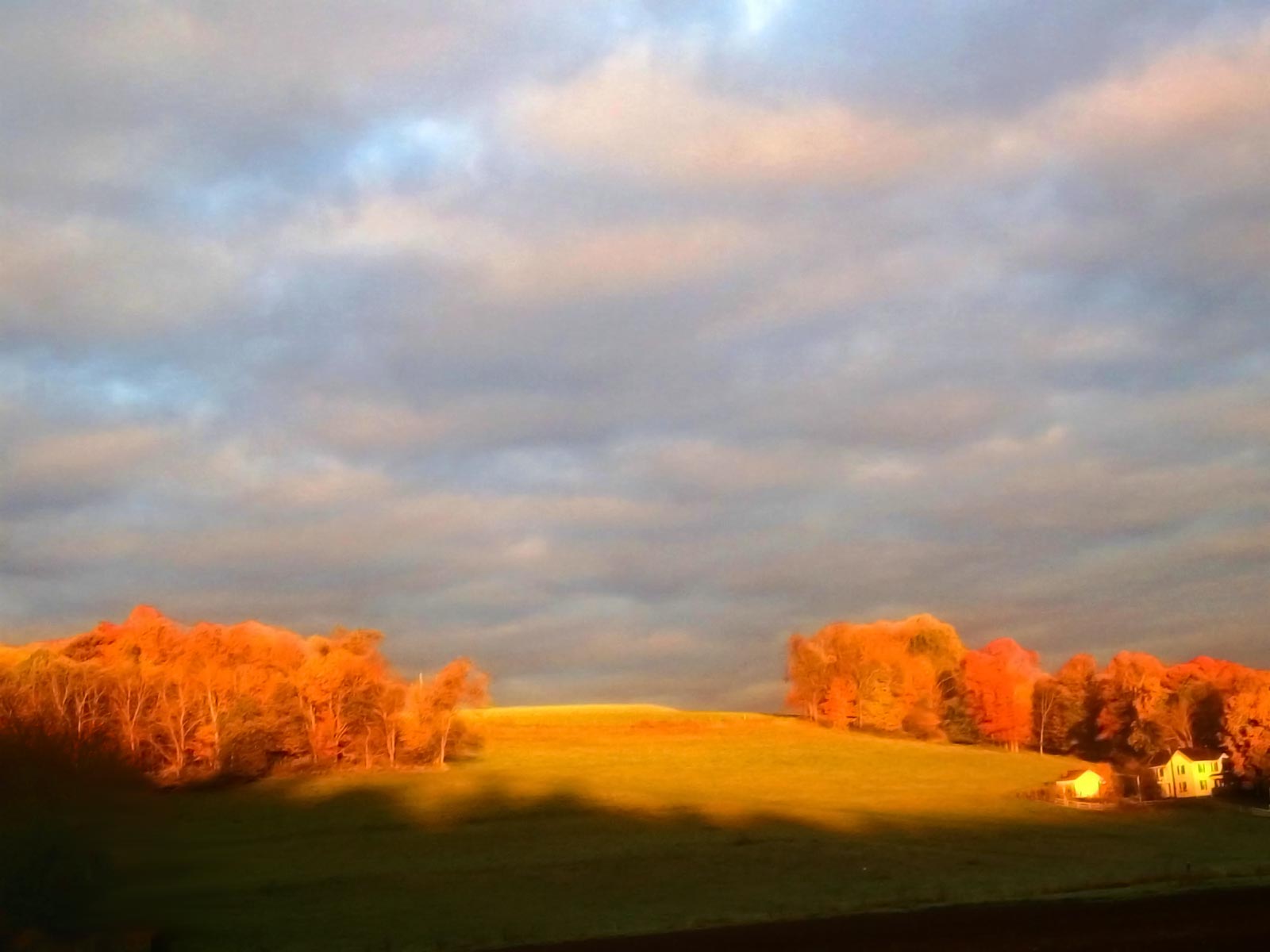 Autumn Sky
