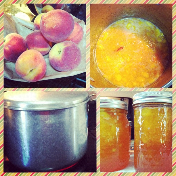 Summer in a Jar PeachNectarine Jam
