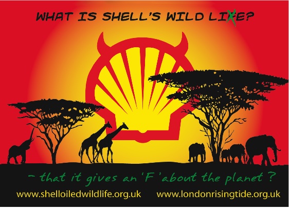 Shell.