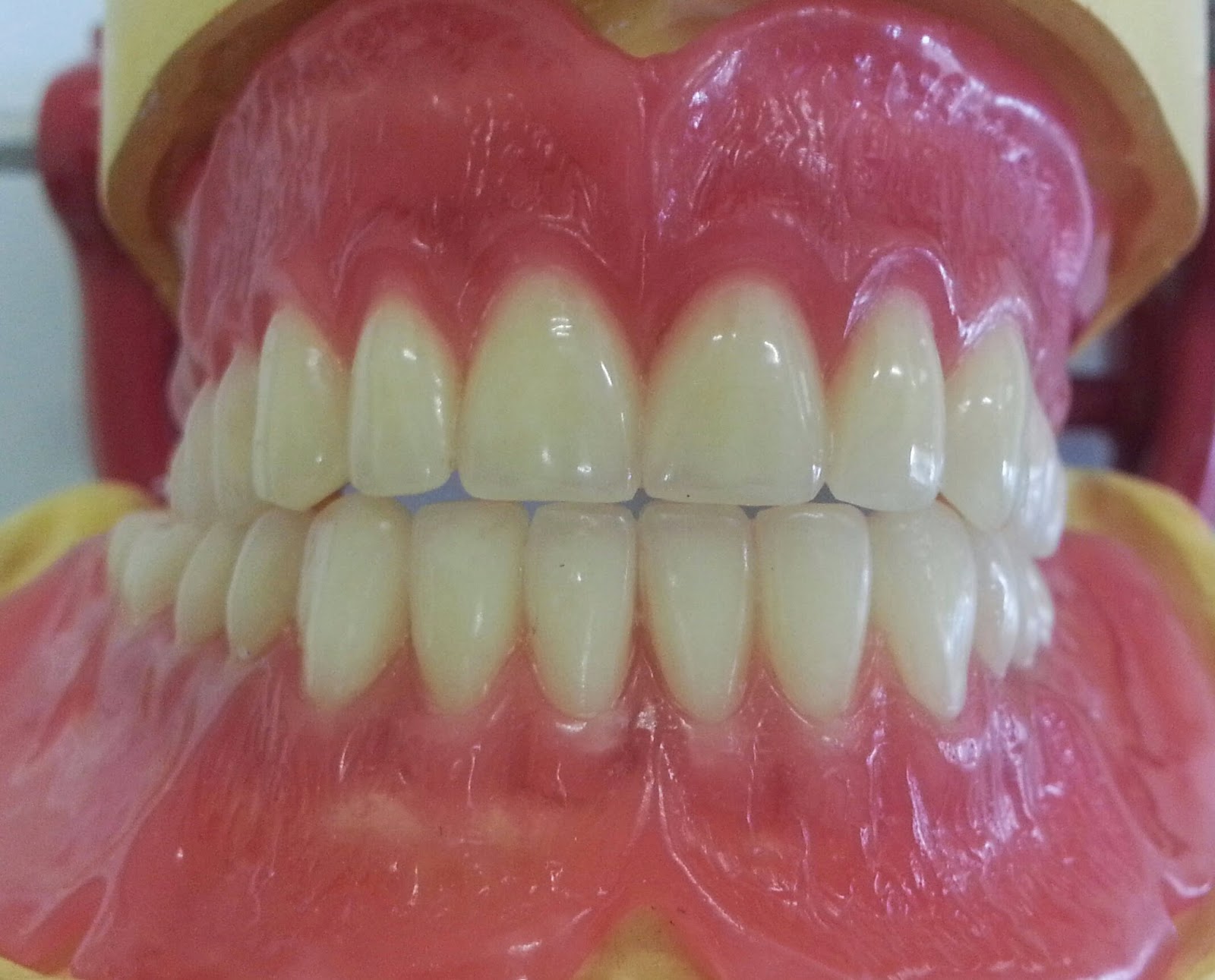 Mrs D's Dental Technology space for student Post your observatios