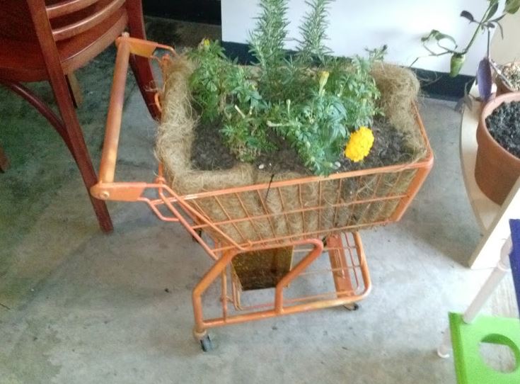 Shopping Cart Garden Steal This Idea!