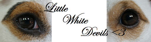 Little White Devils