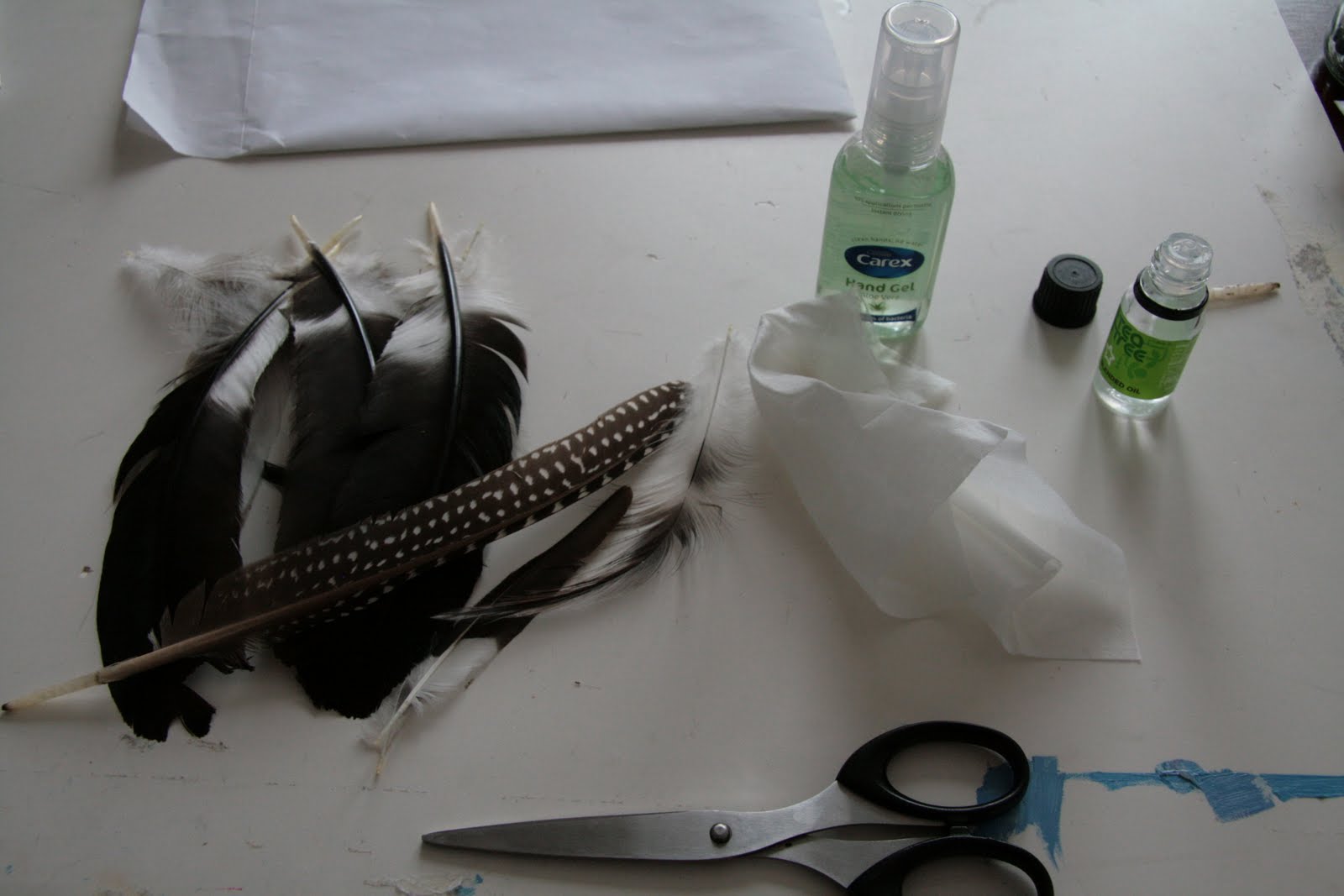 Dianne Tanner FYI Feather Cleaning