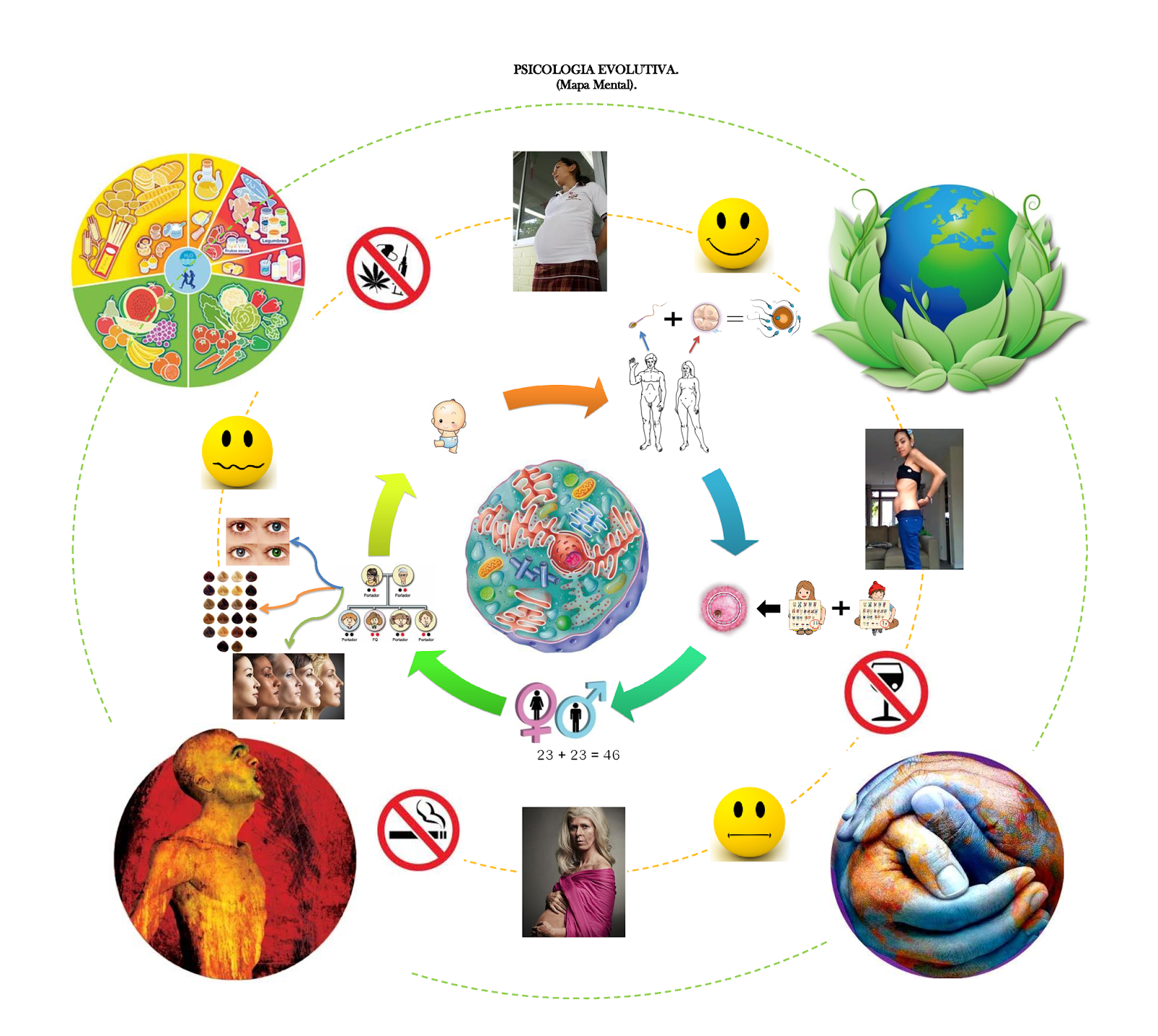 TEORIAS DE LA PERSONALIDAD EN PSICOLOGIA teorias de la personalidad en psicologia: