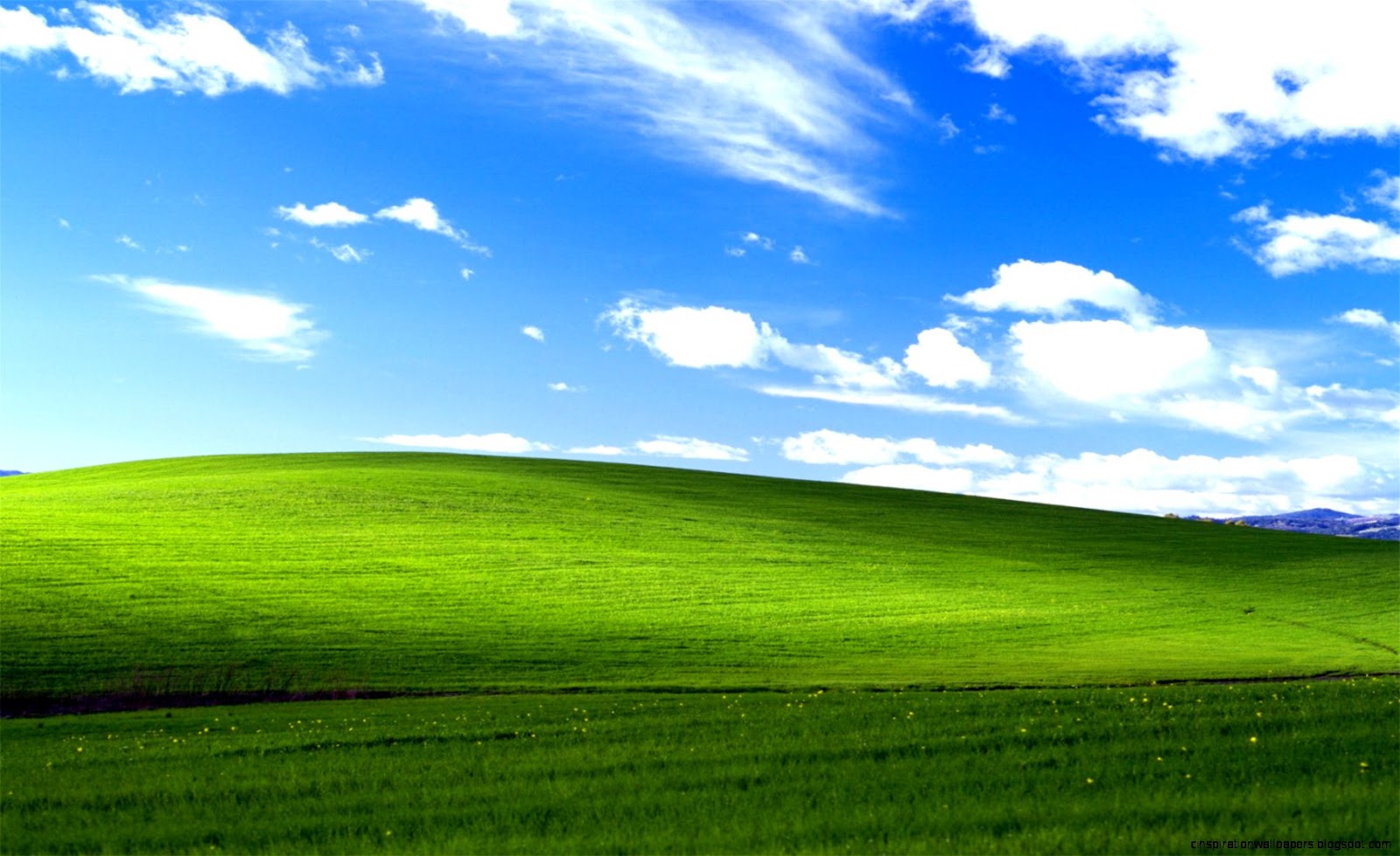 Windows XP Bliss Windows XP Bliss