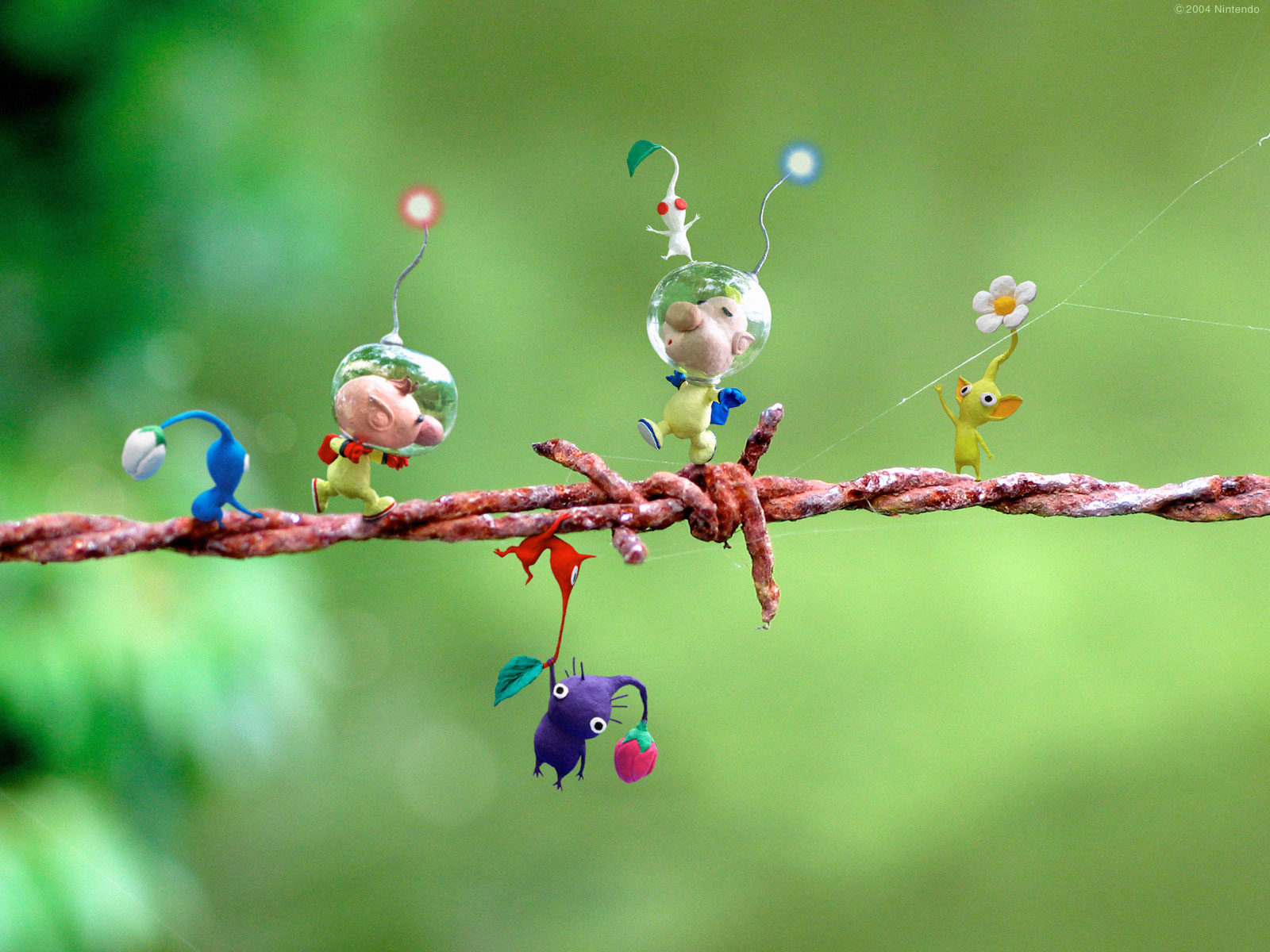 New 3D Wallpapers - Digital HD Photos