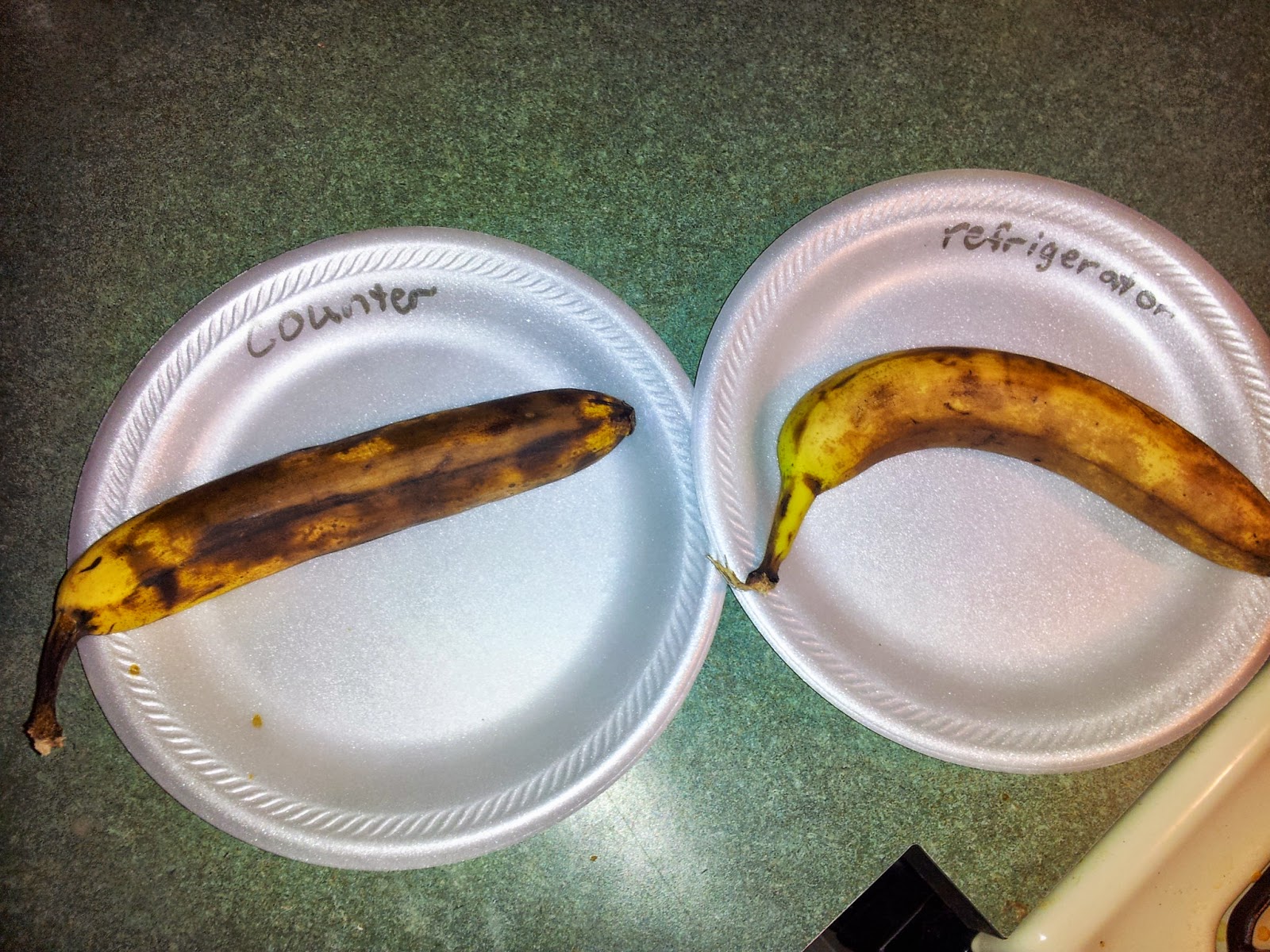  Clapper Chronicles The Banana Project (Uggggg)