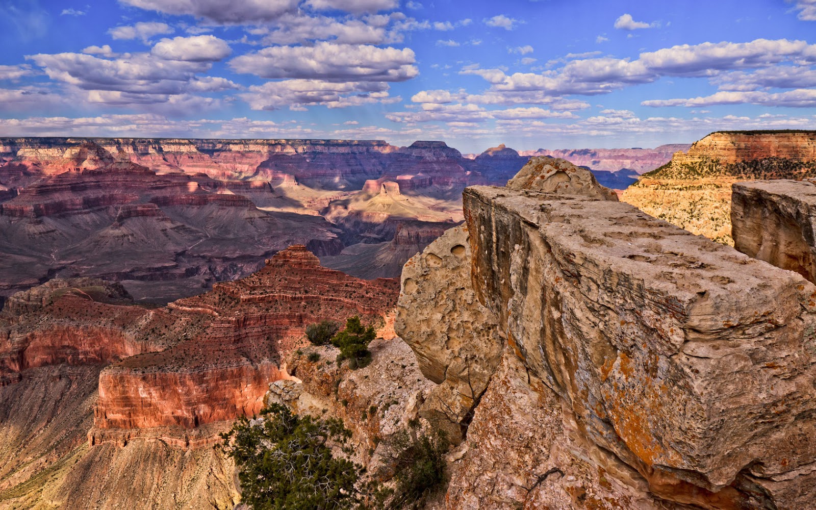 http://3.bp.blogspot.com/-TkzF32H8Mg8/UNSViOr5tzI/AAAAAAAADtI/bBfyevkAHhQ/s1600/ComputerDesktopWallpapersCollection543_086.jpg