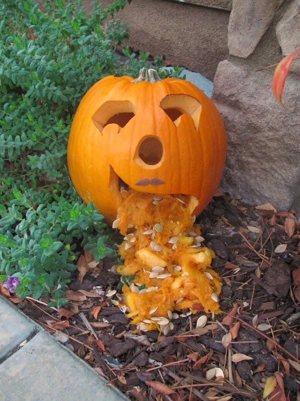 Life on the Open Road Throwing Up Pumpkins