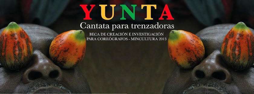 Proyecto Yunta