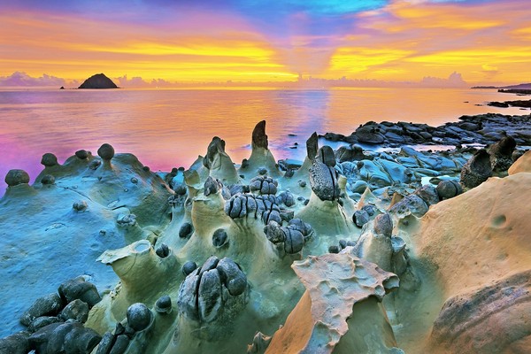 和平島的美麗春色 和平島的美麗春色