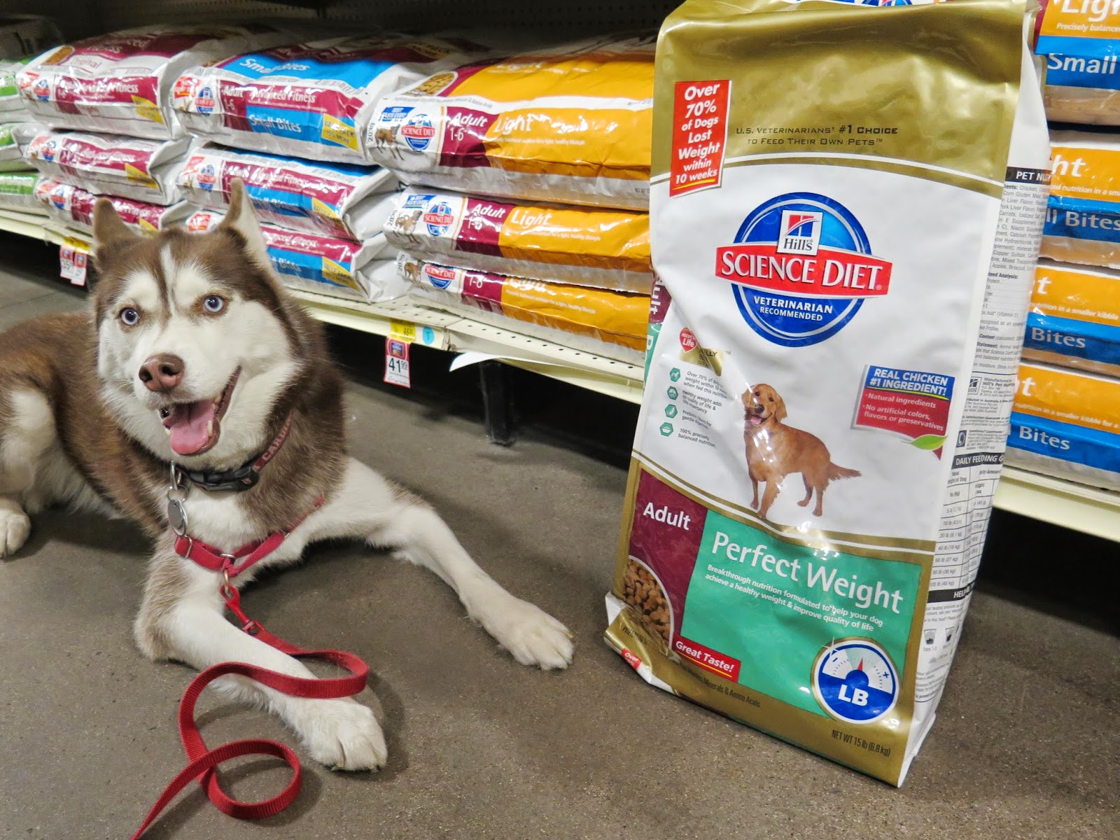 Dogs Luv Us and We Luv Them WIN Pet Food & Start Your Pet's Journey To