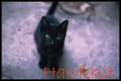 Hawkkit-kit
