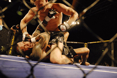 20-MAR-Cage-fight.gif