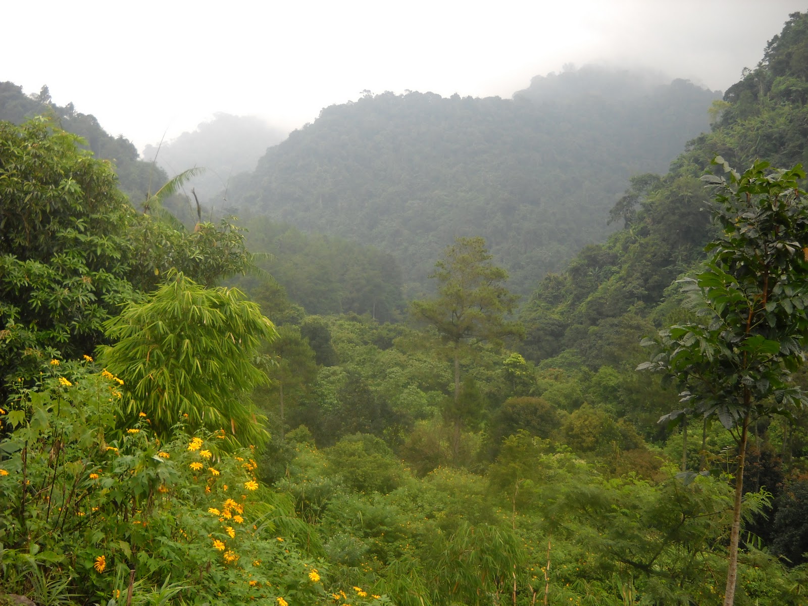 Vacation to Indonesia: Mount Ciremai National Park