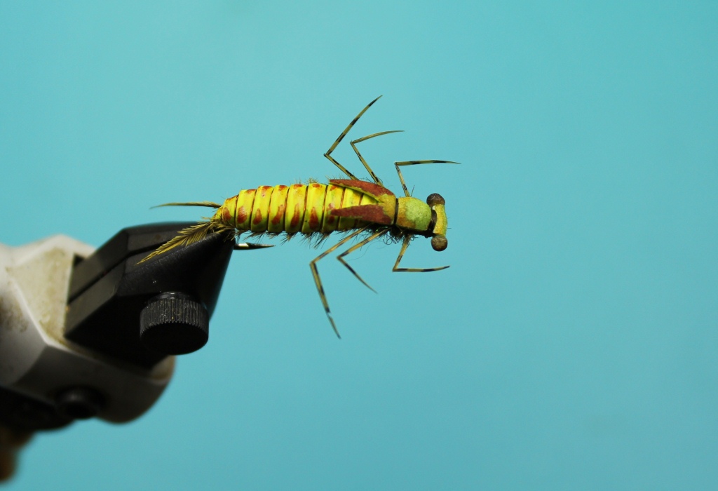 Fly Tying Nation Latex Dragonfly Nymph